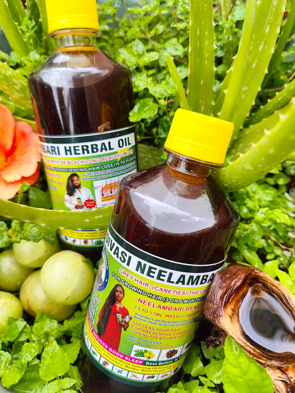 Adivasi Neelabari Herbal Hair Oil